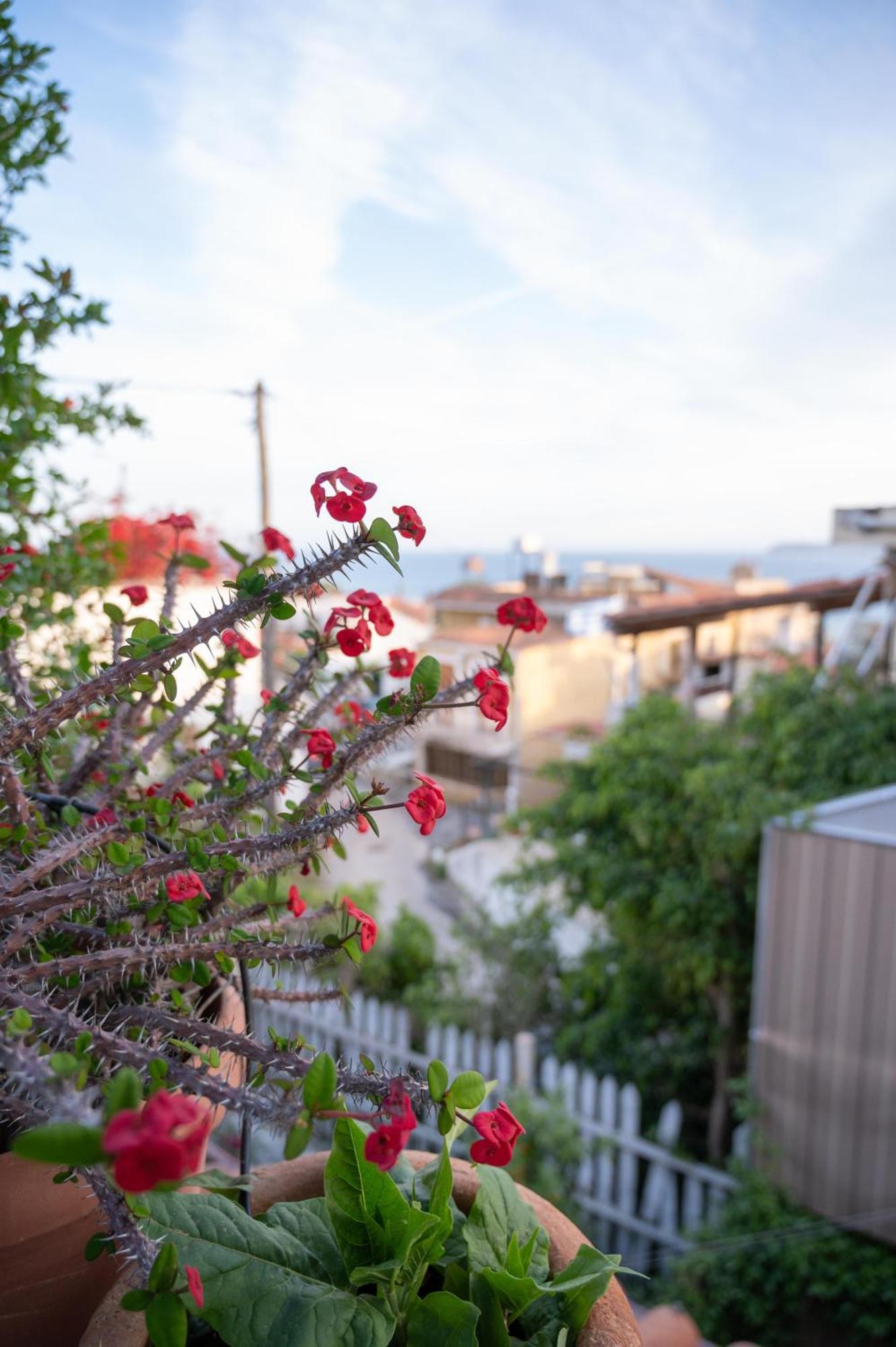 Memories Gytheio Villa Ngoại thất bức ảnh